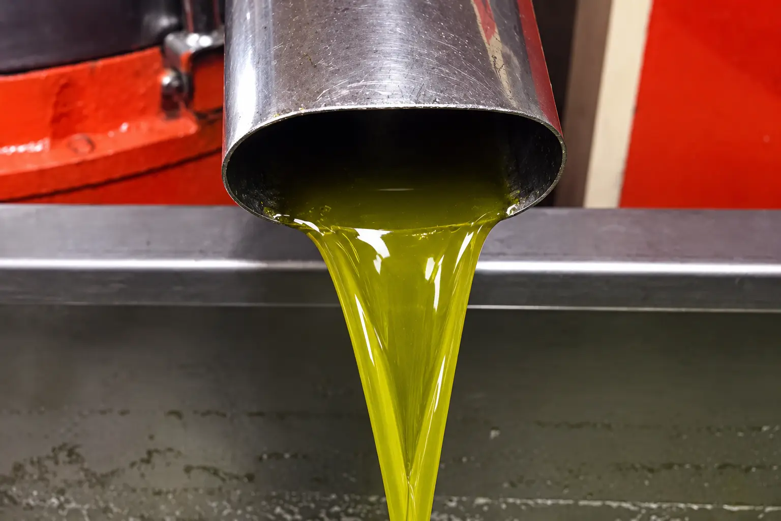 Vivid green olive oil pouring from the press